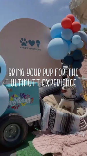 Video post by @ScoopSanDiego on Facebook