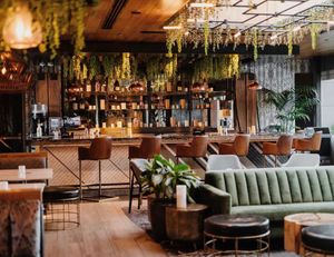 Image post by @wscottsdale on Instagram