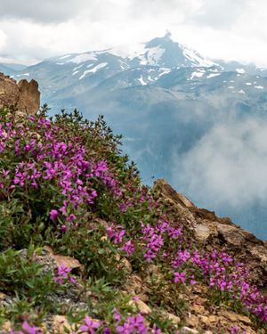 Image post by @whistlerblackcomb on Instagram