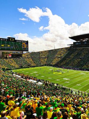 Image post by @goducks on Instagram