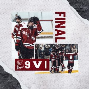 Image post by @cockhockey on Instagram
