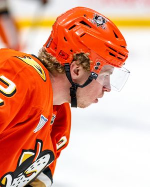 Image post by @anaheimducks on Instagram