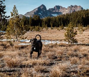 Image post by @garrett_lockrem on Instagram