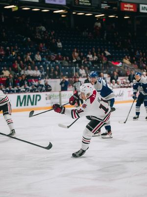 Image post by @ohlicedogs on Instagram
