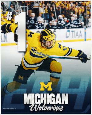 Image post by @everythingcollegehockey on Instagram