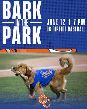 Image post by @ocriptidebaseball on Instagram