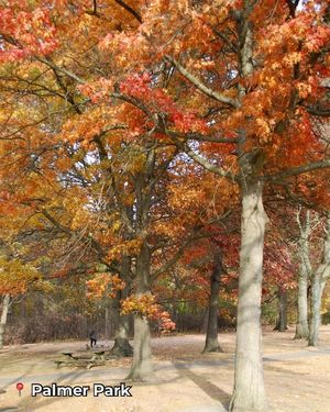 Image post by @DetroitParksRec on Facebook