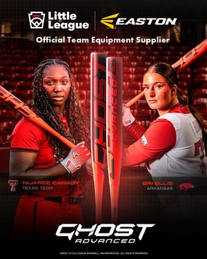 Image post by @LittleLeague on Twitter