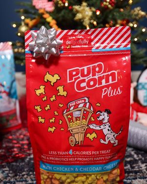 Image post by @pupcorntreats on Instagram