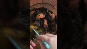 Video post by @buzzfeedtasty on YouTube