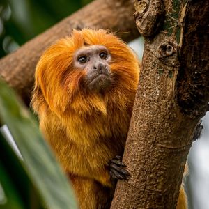 Image post by @discovery on Instagram