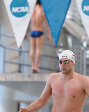 Image post by @smuswimdivem on Instagram