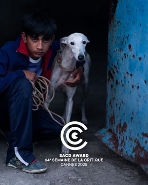 Image post by @semaine_de_la_critique on Instagram