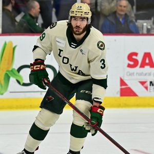 Image post by @IAWild on Twitter