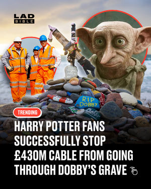 Image post by @ladbible on Instagram