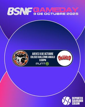 Image post by @bsnfpur on Instagram