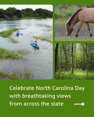 Image post by @mypbsnc on Instagram