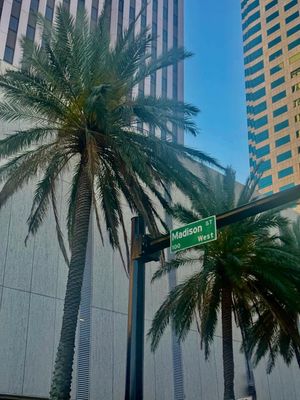 Image post by @madisonmiller24 on Instagram