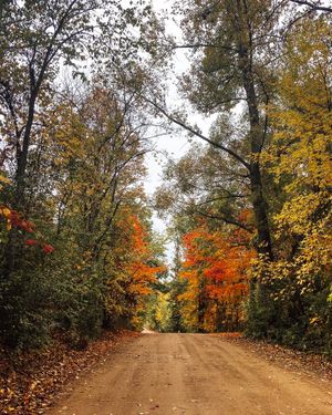 Image post by @camplebanon on Instagram