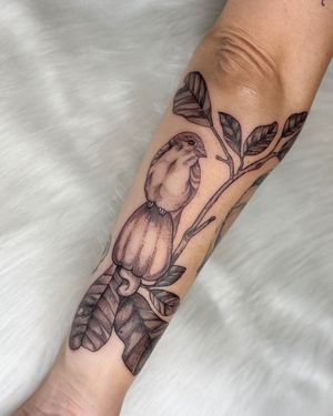 Image post by @tamarafalcomer on Instagram