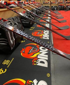 Image post by @sherwoodhockey on Twitter