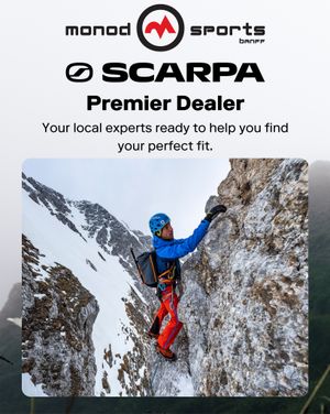Image post by @scarpana on Instagram