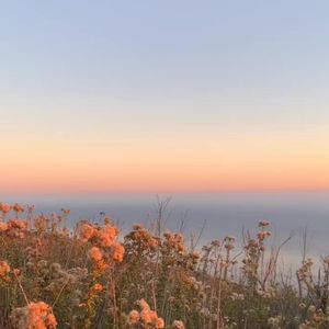 Image post by @carlabenavent17 on Instagram