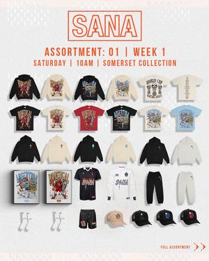 Image post by @sanadetroit on Instagram