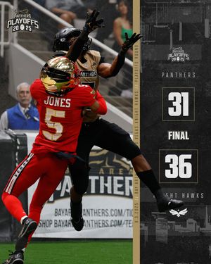 Image post by @panthersifl on Instagram