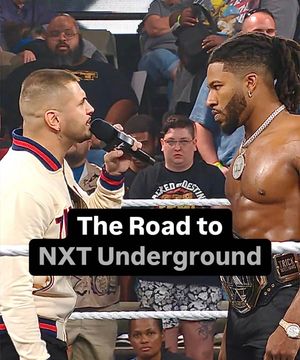 Image post by @wwenxt on Instagram