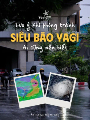 Image post by @checkinvietnam on TikTok