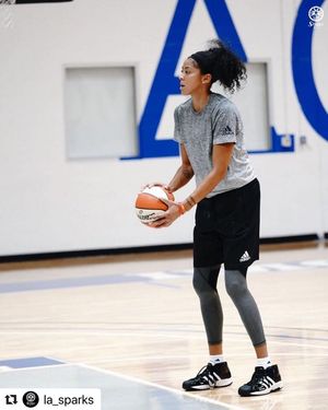 Image post by @candaceparker on Instagram