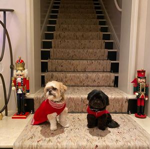 Image post by @kellyripa on Instagram