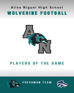 Image post by @aliso_football on Instagram