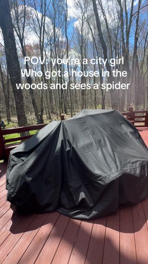 Video post by @sophiasreallife on TikTok