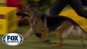 Video post by @foxsports on YouTube