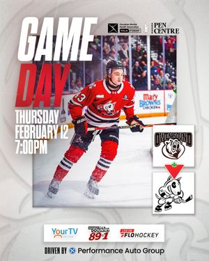 Image post by @ohlicedogs on Instagram