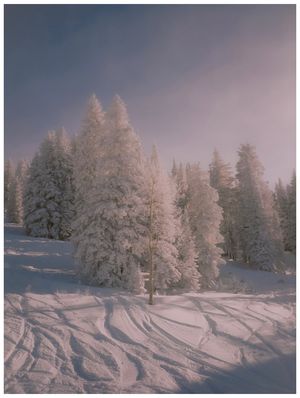 Image post by @alexkittoephotos on Instagram