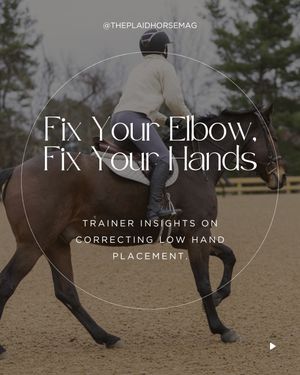 Image post by @theplaidhorsemag on Instagram
