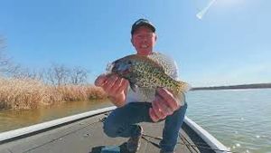 Video post by @lakeforkguy on YouTube