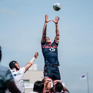 Image post by @rugbyworldcup on Instagram