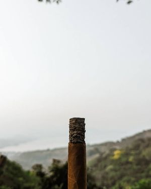 Image post by @manolo1910cigars on Instagram