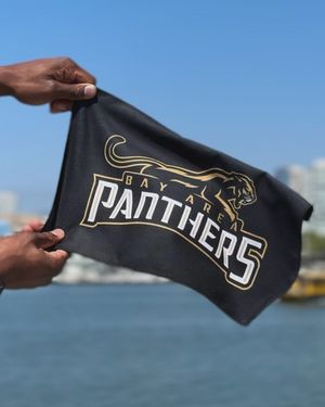 Image post by @panthersifl on Instagram