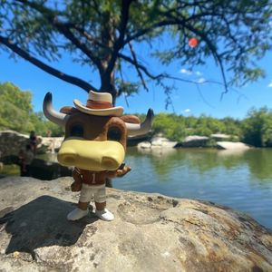 Image post by @utaustintx on Instagram