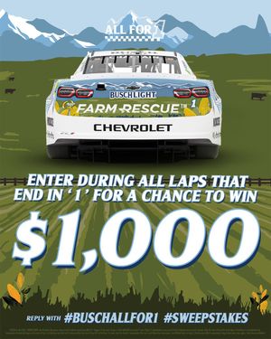 Image post by @BuschBeer on Twitter