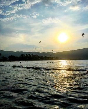 Image post by @javzamora on Instagram