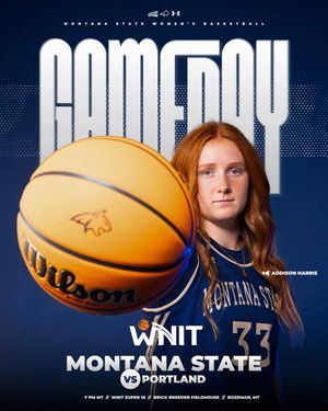 Image post by @msubobcatswbb on Instagram
