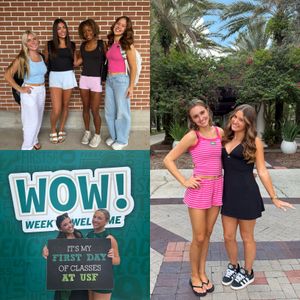 Image post by @usfsundolls on Instagram