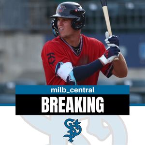 Image post by @milb_central on Twitter