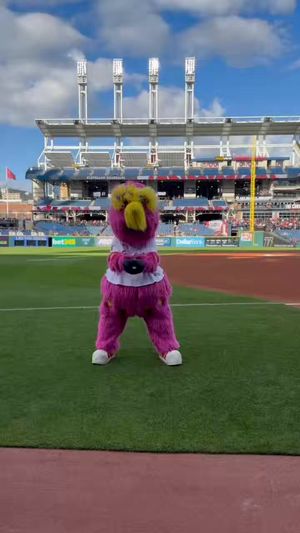 Video post by @SliderTheMascot on Twitter